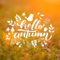 Preview: Vinyl Sticker Hello Autumn